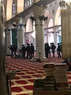 Des soldats israéliens enlèvent 50 Palestiniens en 24 heures pendant que d’autres profanent la mosquée Al-Aqsa et attaquent les fidèles